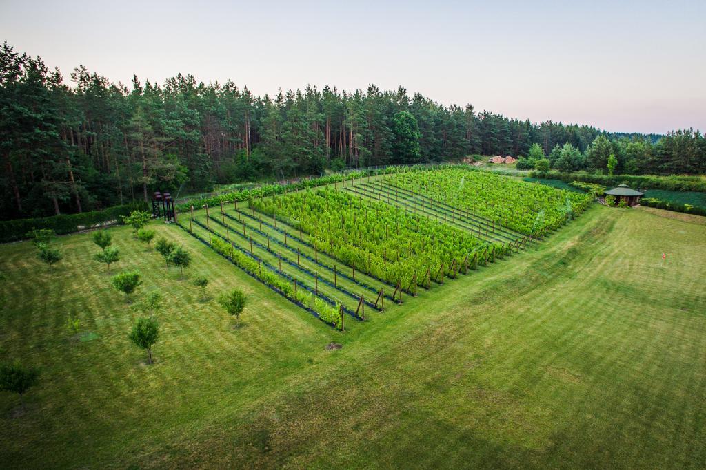 Warminska Winnica Barczewo Bagian luar foto