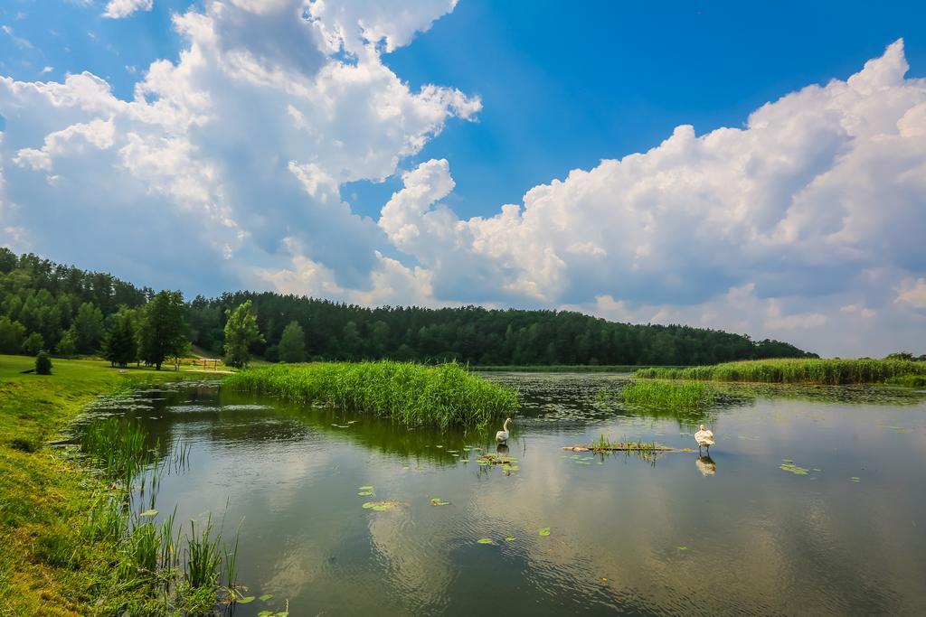 Warminska Winnica Barczewo Bagian luar foto